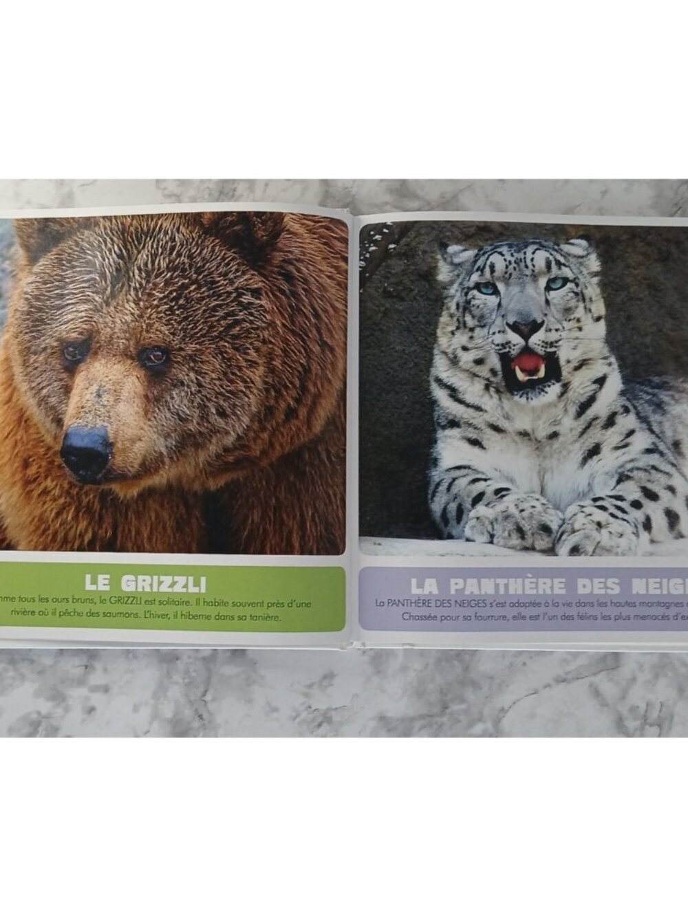 Mon Premier Animalier du Monde Auzou Livre Enfant Animaux Couverture Rigide - Picture 4 of 9